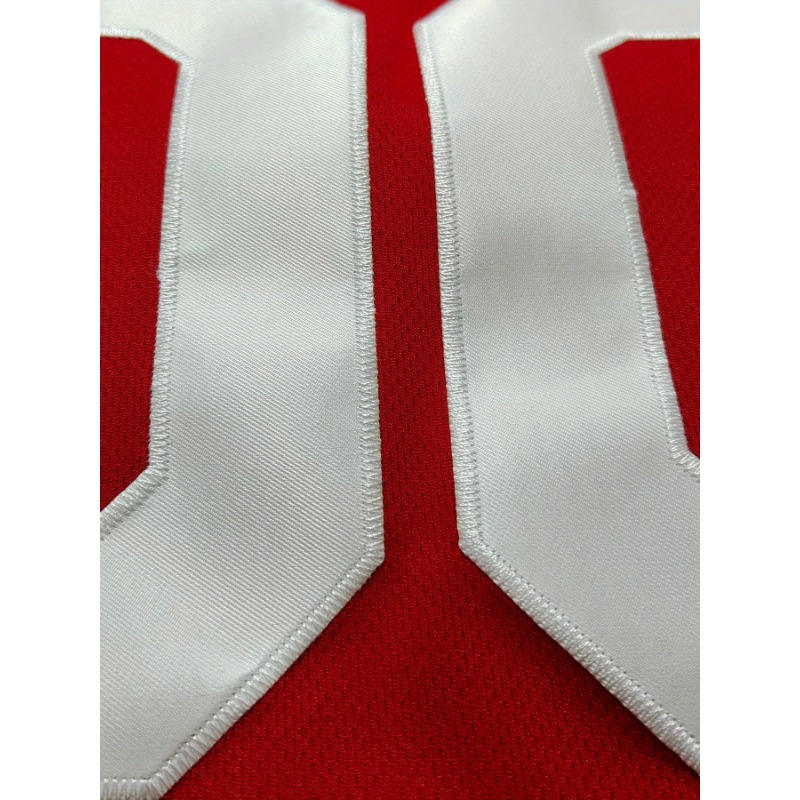 تخصيص اسم ورقم كرة السلة جيرسي - مراجعة Embroidery Name وسعره