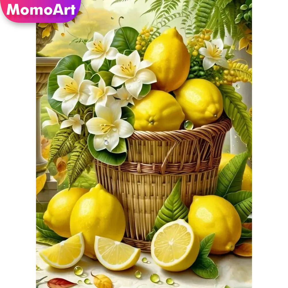 موموارت القط الماس اللوحة الحي - مراجعة Embroidery Daisy وسعره